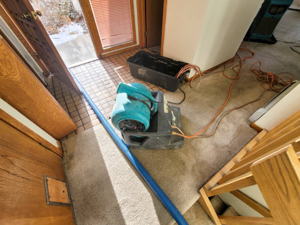 Best Fire Damage Restoration  in Landover Hills, MD