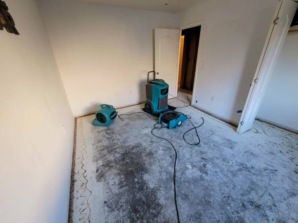 Trusted Landover Hills, MD Water damage restoration Experts