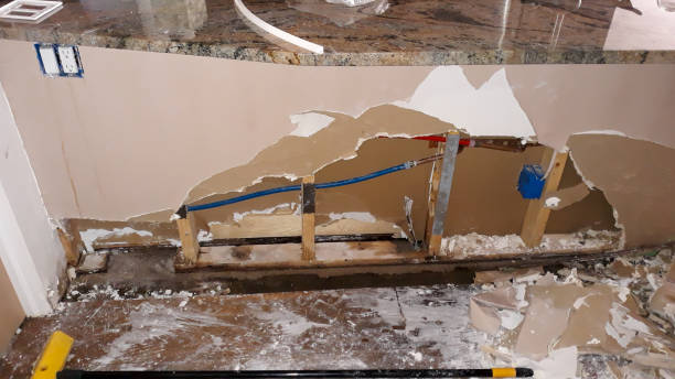 Best Basement water damage restoration  in Landover Hills, MD