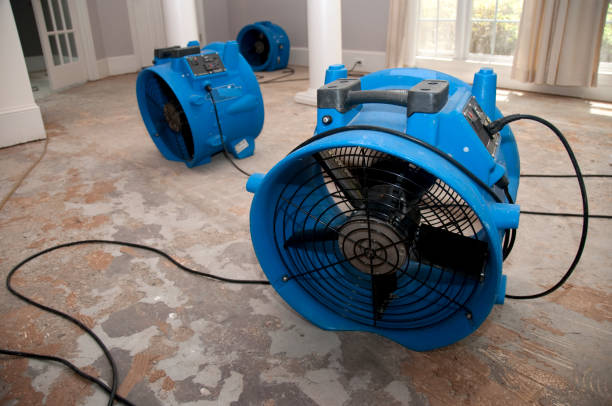 Best Flood damage cleanup  in Landover Hills, MD