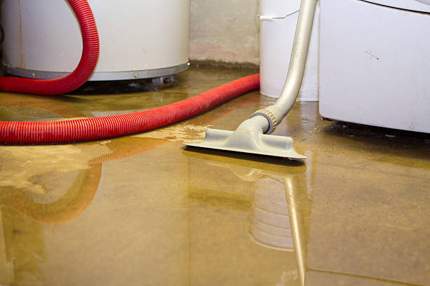 Best Water damage contractors near me  in Landover Hills, MD