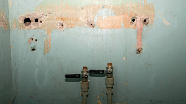 Best Water damage restoration near me  in Landover Hills, MD